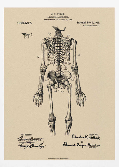 A framed vintage patent illustration of a human anatomical skeleton, printed in black ink on aged beige paper. The detailed drawing shows a full frontal view of the skeleton with numbered parts, text, and signatures in a classic patent document style. Poster