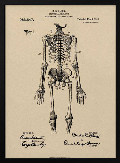 A framed vintage patent illustration of a human anatomical skeleton, printed in black ink on aged beige paper. The detailed drawing shows a full frontal view of the skeleton with numbered parts, text, and signatures in a classic patent document style. Poster