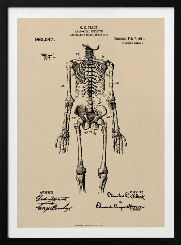 A framed vintage patent illustration of a human anatomical skeleton, printed in black ink on aged beige paper. The detailed drawing shows a full frontal view of the skeleton with numbered parts, text, and signatures in a classic patent document style. Poster