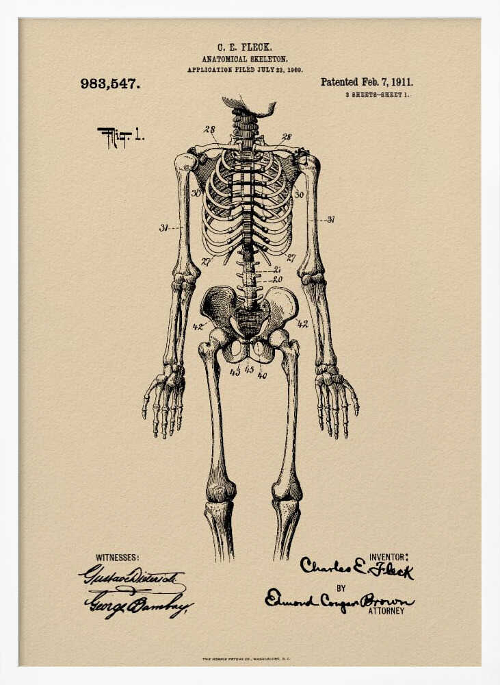 A framed vintage patent illustration of a human anatomical skeleton, printed in black ink on aged beige paper. The detailed drawing shows a full frontal view of the skeleton with numbered parts, text, and signatures in a classic patent document style. Poster