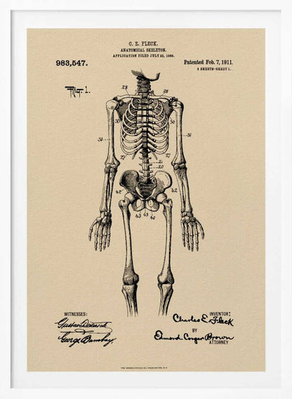 A framed vintage patent illustration of a human anatomical skeleton, printed in black ink on aged beige paper. The detailed drawing shows a full frontal view of the skeleton with numbered parts, text, and signatures in a classic patent document style. Poster