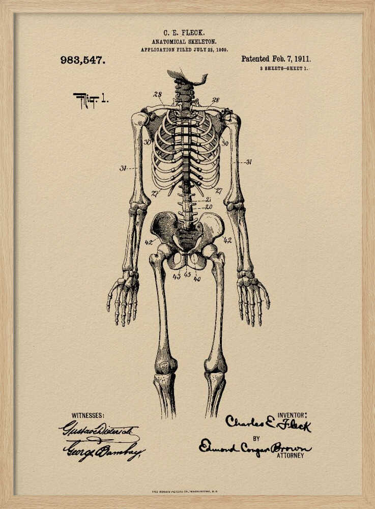 A framed vintage patent illustration of a human anatomical skeleton, printed in black ink on aged beige paper. The detailed drawing shows a full frontal view of the skeleton with numbered parts, text, and signatures in a classic patent document style. Poster