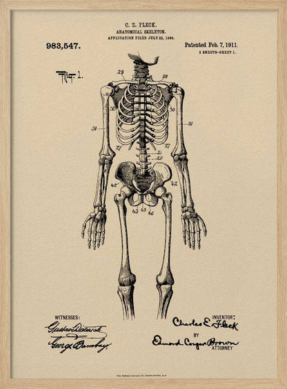 A framed vintage patent illustration of a human anatomical skeleton, printed in black ink on aged beige paper. The detailed drawing shows a full frontal view of the skeleton with numbered parts, text, and signatures in a classic patent document style. Poster