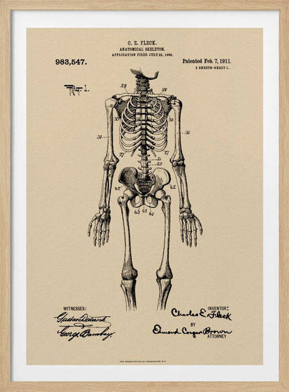 A framed vintage patent illustration of a human anatomical skeleton, printed in black ink on aged beige paper. The detailed drawing shows a full frontal view of the skeleton with numbered parts, text, and signatures in a classic patent document style. Poster