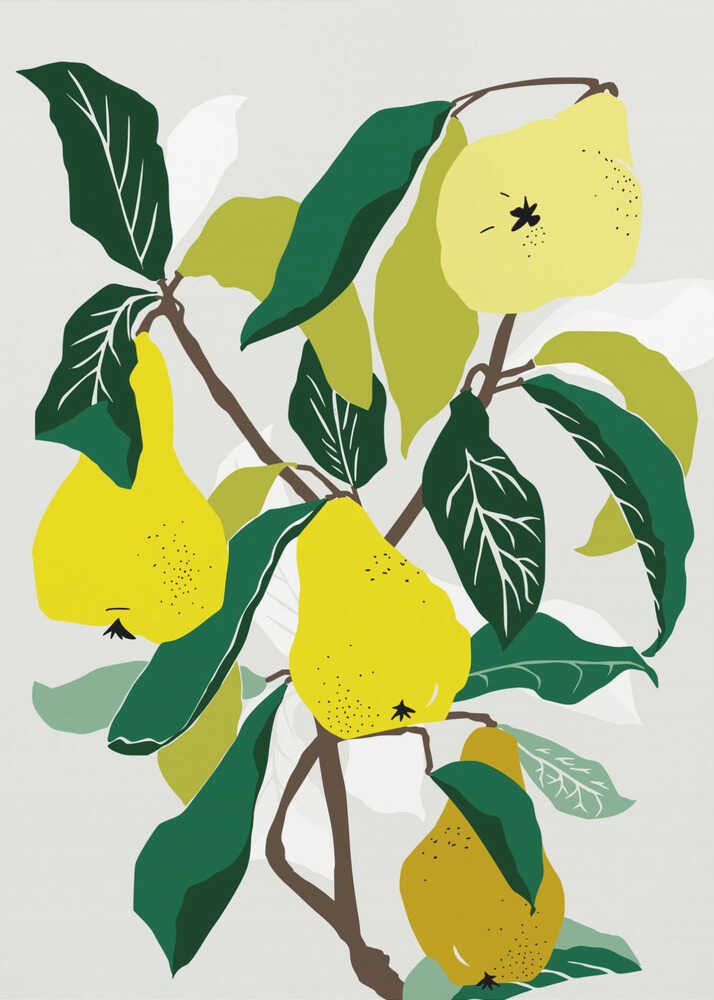A modern graphic illustration of a pear tree branch heavy with ripe yellow pears. The composition features bold dark green and lighter green leaves against a soft, light grey background, all enclosed in a thin black frame. Artwork