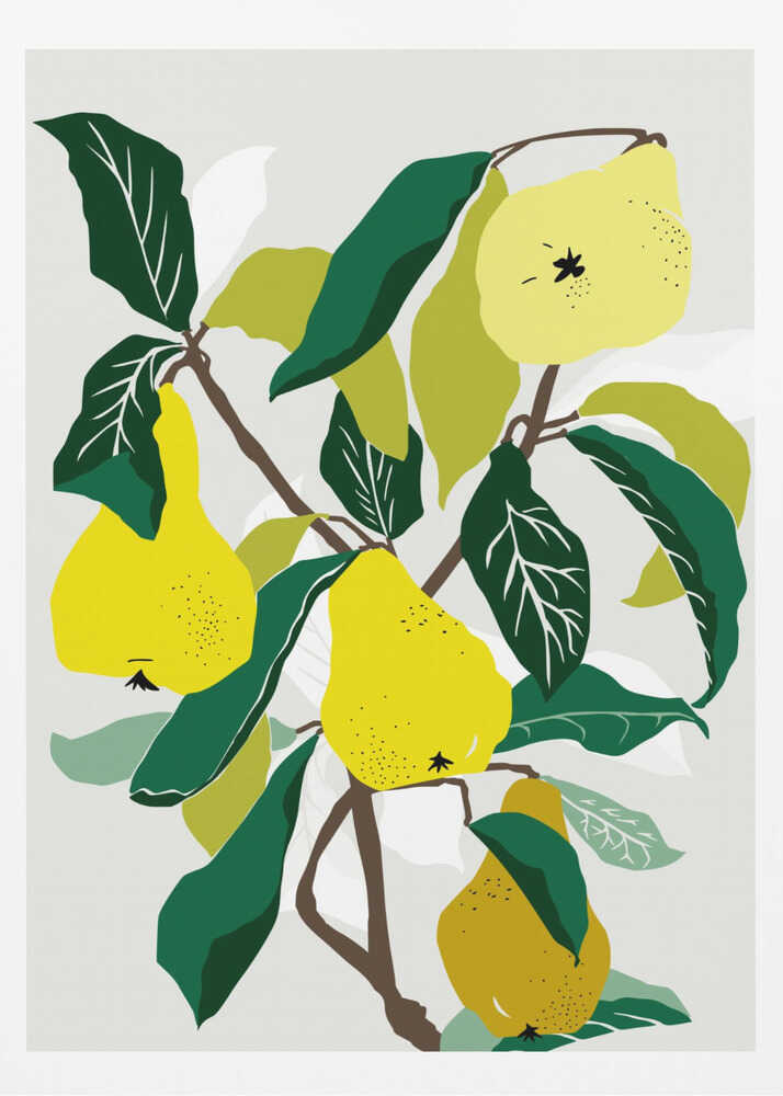 A modern graphic illustration of a pear tree branch heavy with ripe yellow pears. The composition features bold dark green and lighter green leaves against a soft, light grey background, all enclosed in a thin black frame. Artwork