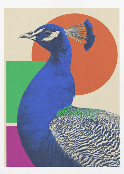A modern graphic art poster featuring a profile view of a royal blue peacock against a cream-colored background with large geometric shapes, including an orange circle, a green rectangle, and a magenta rectangle. Wall Art