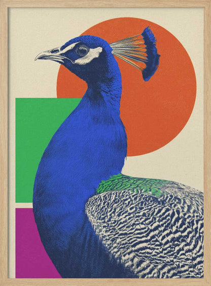 A modern graphic art poster featuring a profile view of a royal blue peacock against a cream-colored background with large geometric shapes, including an orange circle, a green rectangle, and a magenta rectangle. Wall Art