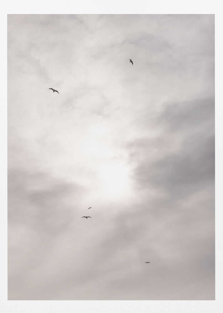 Silhouettes of birds flying across a bright, cloudy sky.