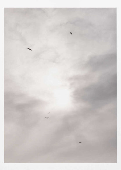 Silhouettes of birds flying across a bright, cloudy sky.