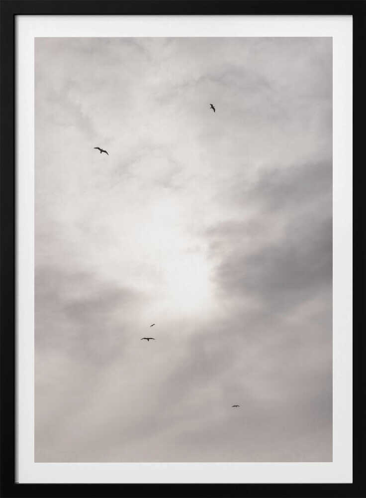 Silhouettes of birds flying across a bright, cloudy sky.