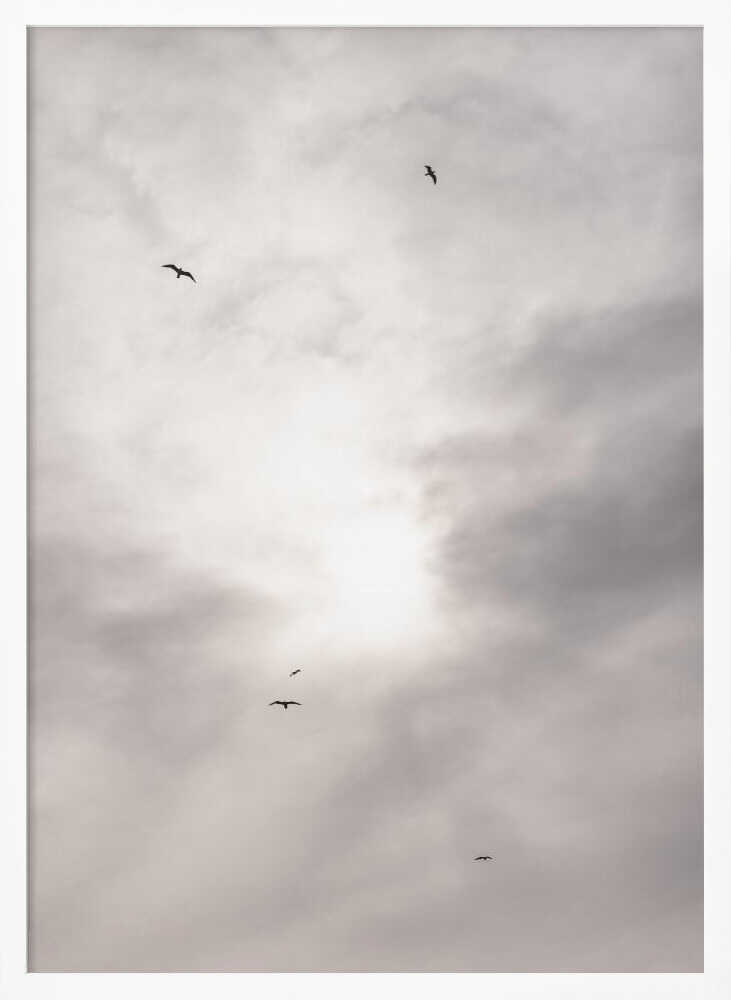 Silhouettes of birds flying across a bright, cloudy sky.