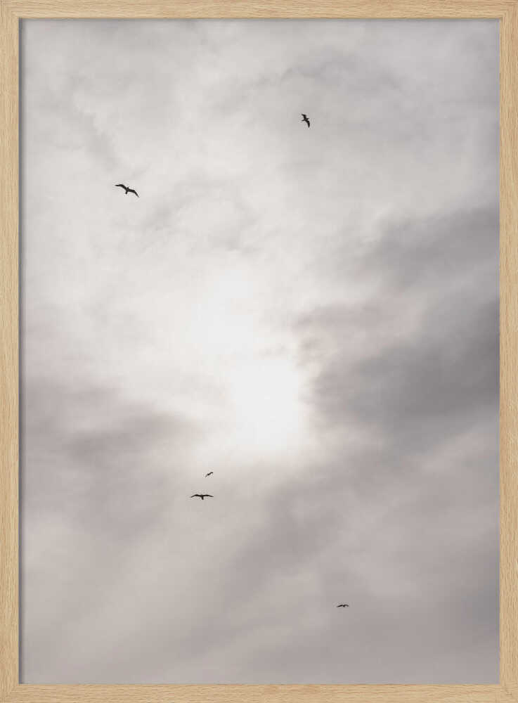 Silhouettes of birds flying across a bright, cloudy sky.