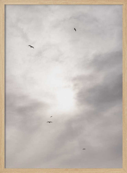 Silhouettes of birds flying across a bright, cloudy sky.