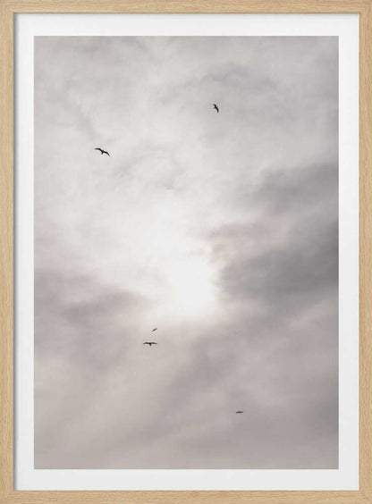 Silhouettes of birds flying across a bright, cloudy sky.