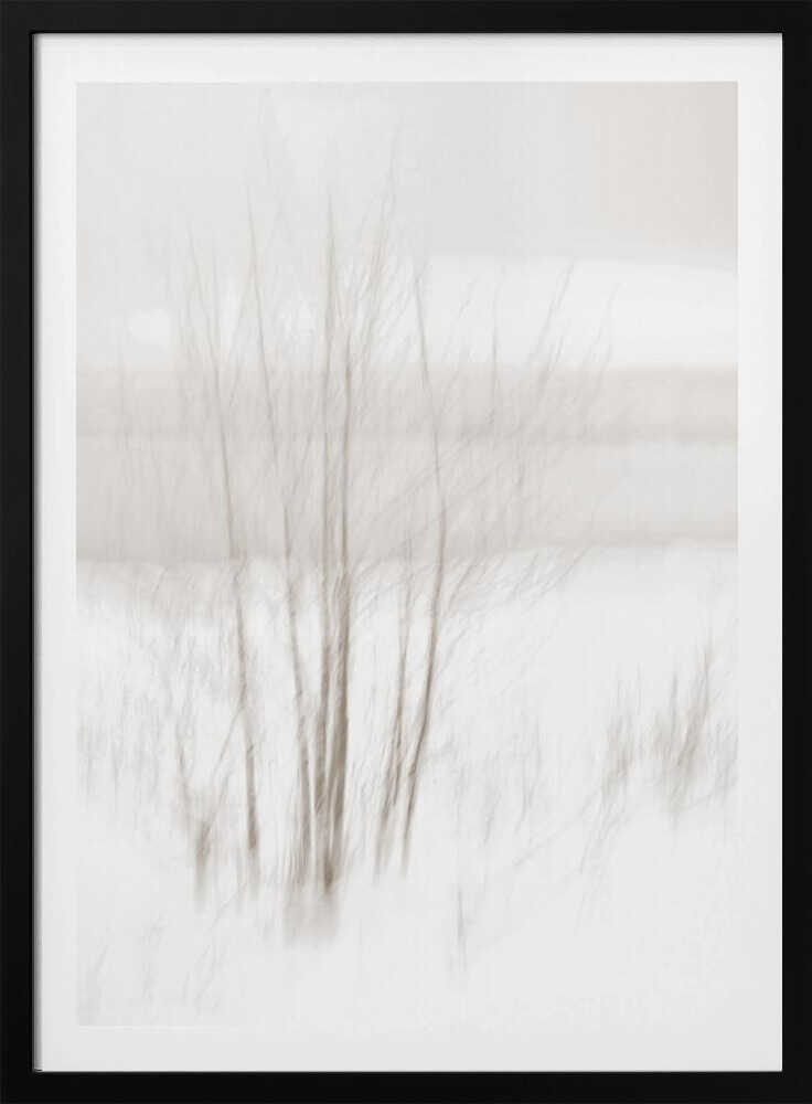 Abstract photo of bare trees in a misty, white winter landscape.