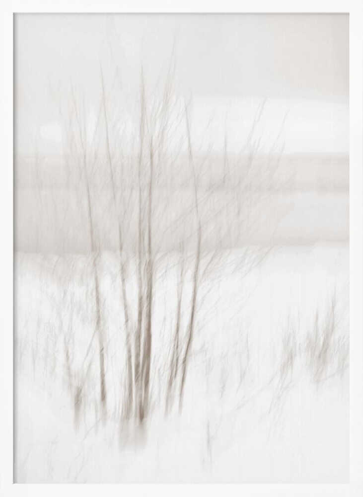 Abstract photo of bare trees in a misty, white winter landscape.