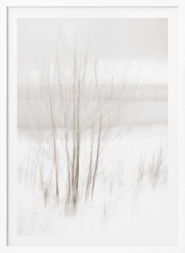 Abstract photo of bare trees in a misty, white winter landscape.