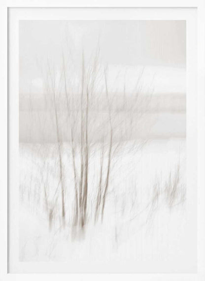 Abstract photo of bare trees in a misty, white winter landscape.