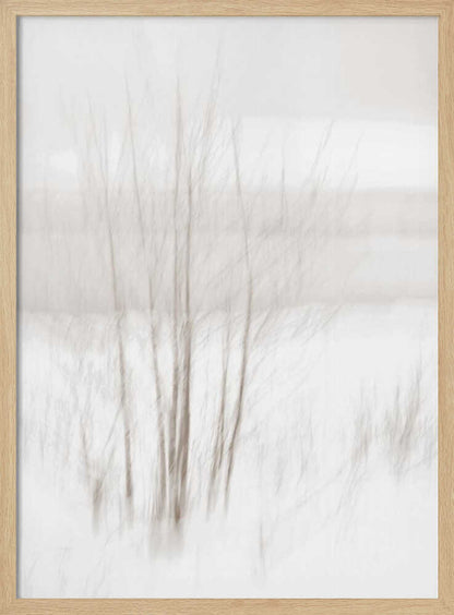 Abstract photo of bare trees in a misty, white winter landscape.