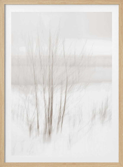 Abstract photo of bare trees in a misty, white winter landscape.