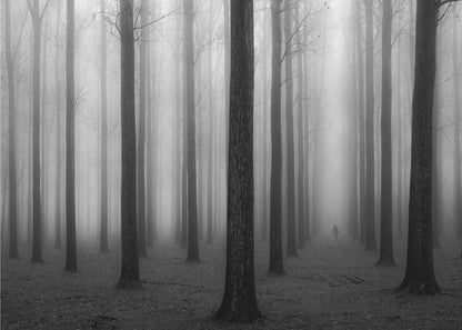 A moody black and white framed photograph of a person walking away through a dense forest on a foggy day. Tall, dark, leafless tree trunks stand in rows, disappearing into the thick, white mist, creating a sense of depth and mystery. Wall Art