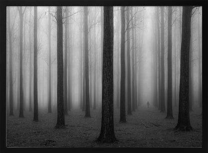 A moody black and white framed photograph of a person walking away through a dense forest on a foggy day. Tall, dark, leafless tree trunks stand in rows, disappearing into the thick, white mist, creating a sense of depth and mystery. Wall Art
