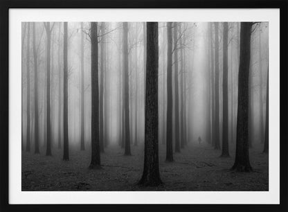 A moody black and white framed photograph of a person walking away through a dense forest on a foggy day. Tall, dark, leafless tree trunks stand in rows, disappearing into the thick, white mist, creating a sense of depth and mystery. Wall Art