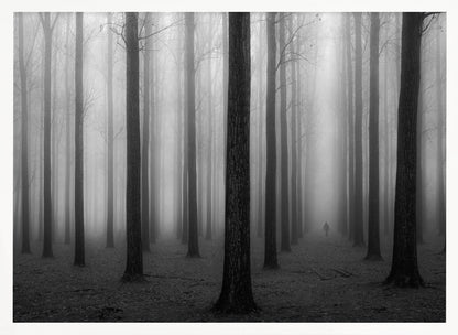 A moody black and white framed photograph of a person walking away through a dense forest on a foggy day. Tall, dark, leafless tree trunks stand in rows, disappearing into the thick, white mist, creating a sense of depth and mystery. Wall Art