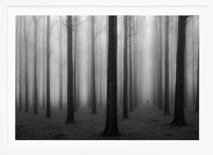 A moody black and white framed photograph of a person walking away through a dense forest on a foggy day. Tall, dark, leafless tree trunks stand in rows, disappearing into the thick, white mist, creating a sense of depth and mystery. Wall Art