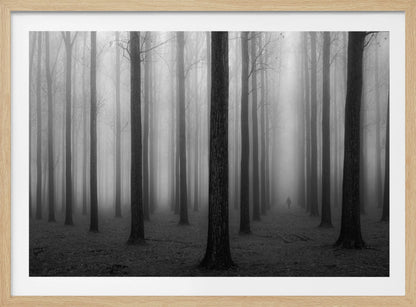 A moody black and white framed photograph of a person walking away through a dense forest on a foggy day. Tall, dark, leafless tree trunks stand in rows, disappearing into the thick, white mist, creating a sense of depth and mystery. Wall Art