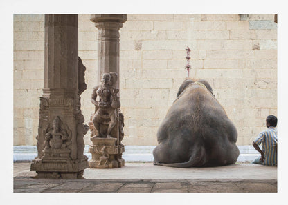 A framed photograph from behind a large elephant sitting on a stone floor inside a temple, flanked by ornate, carved stone pillars. A man in a striped shirt sits on the floor to the right of the elephant, looking towards it. Decor