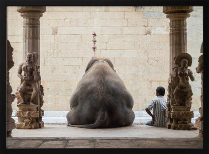 A framed photograph from behind a large elephant sitting on a stone floor inside a temple, flanked by ornate, carved stone pillars. A man in a striped shirt sits on the floor to the right of the elephant, looking towards it. Decor