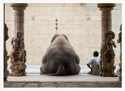 A framed photograph from behind a large elephant sitting on a stone floor inside a temple, flanked by ornate, carved stone pillars. A man in a striped shirt sits on the floor to the right of the elephant, looking towards it. Decor