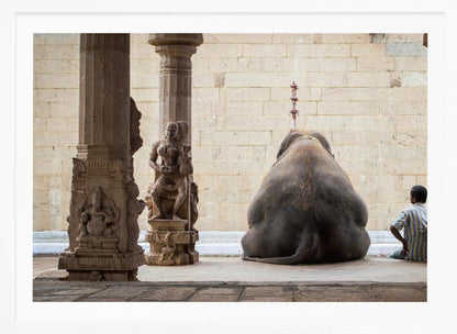 A framed photograph from behind a large elephant sitting on a stone floor inside a temple, flanked by ornate, carved stone pillars. A man in a striped shirt sits on the floor to the right of the elephant, looking towards it. Decor