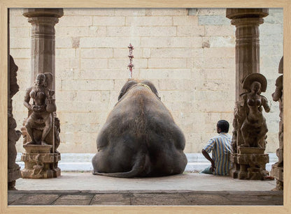 A framed photograph from behind a large elephant sitting on a stone floor inside a temple, flanked by ornate, carved stone pillars. A man in a striped shirt sits on the floor to the right of the elephant, looking towards it. Decor