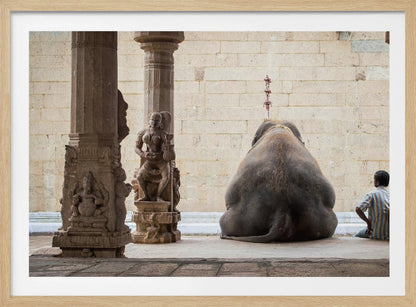 A framed photograph from behind a large elephant sitting on a stone floor inside a temple, flanked by ornate, carved stone pillars. A man in a striped shirt sits on the floor to the right of the elephant, looking towards it. Decor