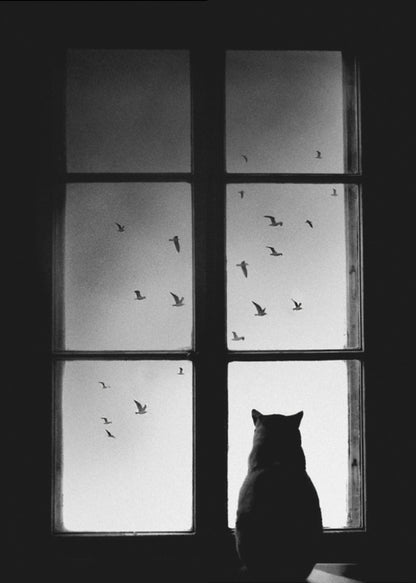 A black and white photograph showing the silhouette of a cat from behind, sitting on a windowsill and looking out through the panes at a flock of birds flying in the sky. Poster