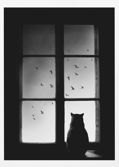 A black and white photograph showing the silhouette of a cat from behind, sitting on a windowsill and looking out through the panes at a flock of birds flying in the sky. Poster