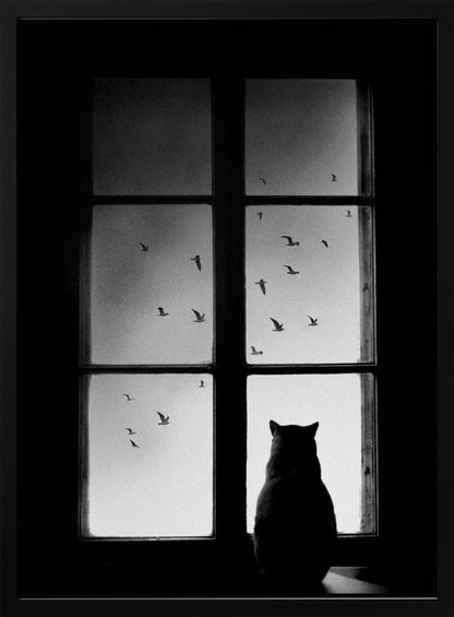 A black and white photograph showing the silhouette of a cat from behind, sitting on a windowsill and looking out through the panes at a flock of birds flying in the sky. Poster