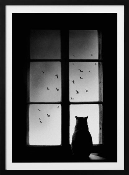 A black and white photograph showing the silhouette of a cat from behind, sitting on a windowsill and looking out through the panes at a flock of birds flying in the sky. Poster