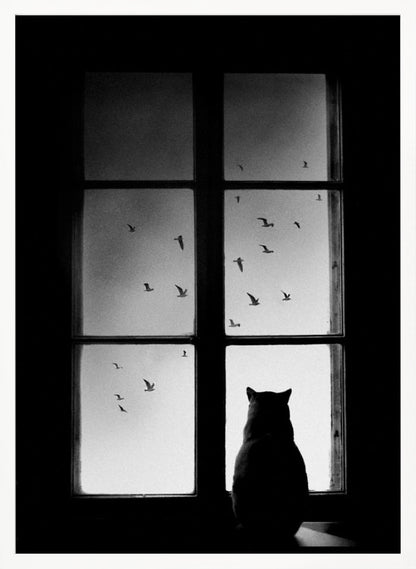 A black and white photograph showing the silhouette of a cat from behind, sitting on a windowsill and looking out through the panes at a flock of birds flying in the sky. Poster