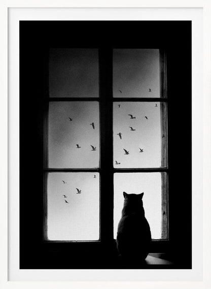 A black and white photograph showing the silhouette of a cat from behind, sitting on a windowsill and looking out through the panes at a flock of birds flying in the sky. Poster