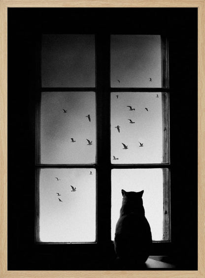 A black and white photograph showing the silhouette of a cat from behind, sitting on a windowsill and looking out through the panes at a flock of birds flying in the sky. Poster