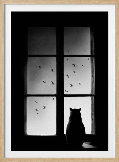 A black and white photograph showing the silhouette of a cat from behind, sitting on a windowsill and looking out through the panes at a flock of birds flying in the sky. Poster