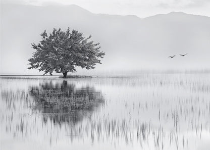 A serene black and white landscape photograph of a solitary tree standing in a calm lake, its reflection mirrored perfectly in the water. Hazy mountains are visible in the distance, and two birds fly across the pale sky, all enclosed within a silver frame. Print