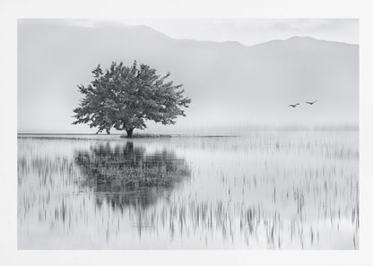A serene black and white landscape photograph of a solitary tree standing in a calm lake, its reflection mirrored perfectly in the water. Hazy mountains are visible in the distance, and two birds fly across the pale sky, all enclosed within a silver frame. Print