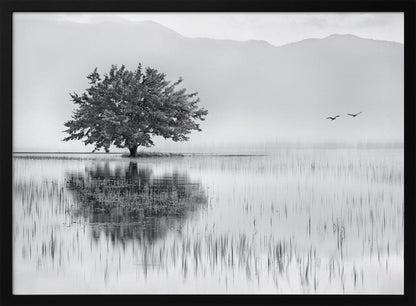 A serene black and white landscape photograph of a solitary tree standing in a calm lake, its reflection mirrored perfectly in the water. Hazy mountains are visible in the distance, and two birds fly across the pale sky, all enclosed within a silver frame. Print