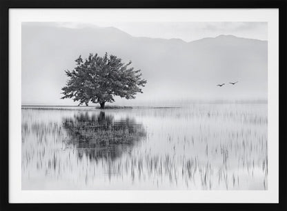 A serene black and white landscape photograph of a solitary tree standing in a calm lake, its reflection mirrored perfectly in the water. Hazy mountains are visible in the distance, and two birds fly across the pale sky, all enclosed within a silver frame. Print