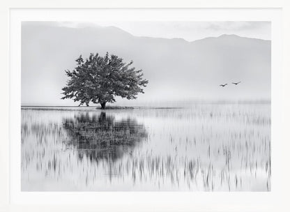 A serene black and white landscape photograph of a solitary tree standing in a calm lake, its reflection mirrored perfectly in the water. Hazy mountains are visible in the distance, and two birds fly across the pale sky, all enclosed within a silver frame. Print